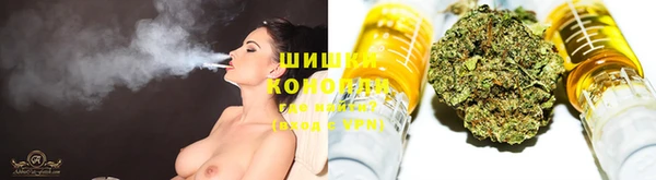 трава Нефтекумск