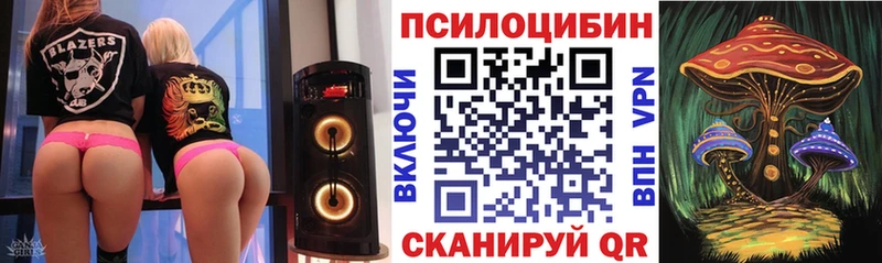 дарнет шоп  Ртищево  ОМГ ОМГ ССЫЛКА  Галлюциногенные грибы Cubensis 