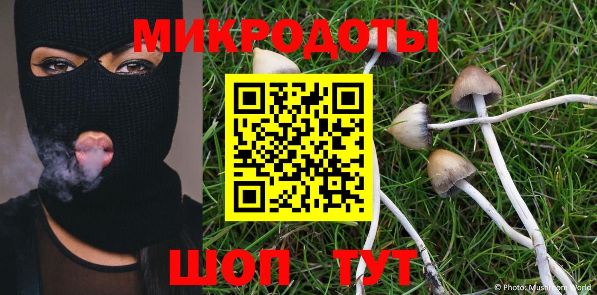 Псилоцибиновые грибы Magic Shrooms Ртищево