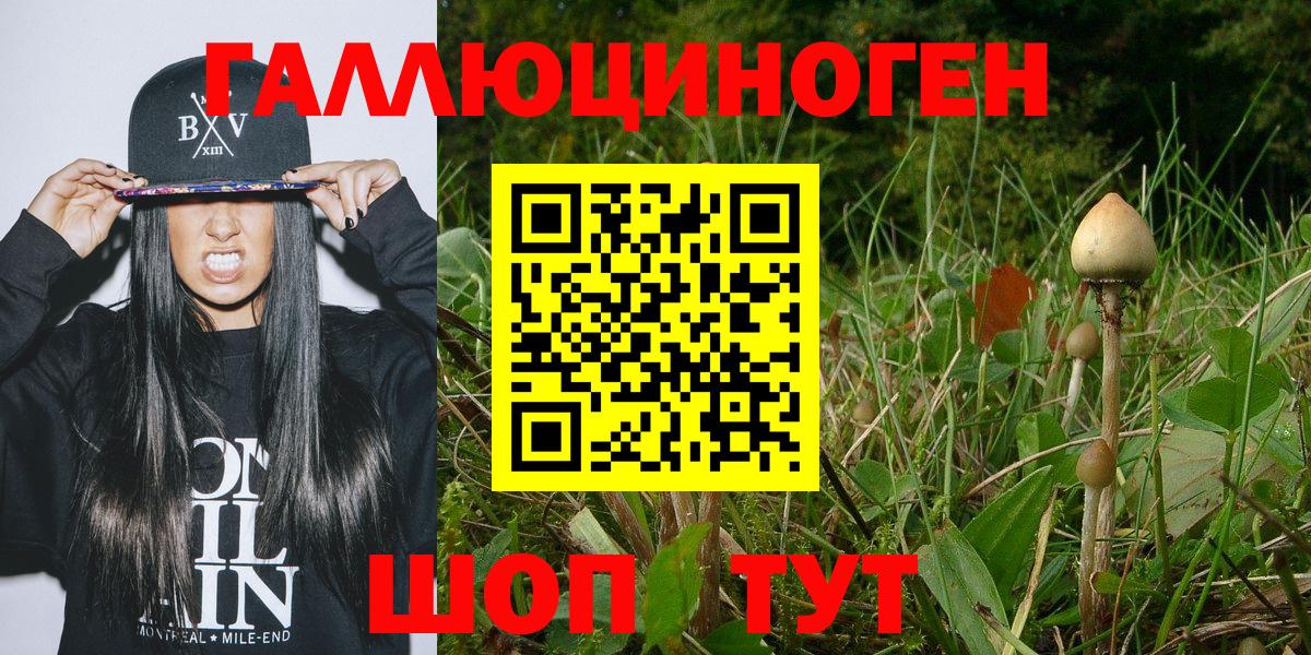 Галлюциногенные грибы Psilocybe Ртищево