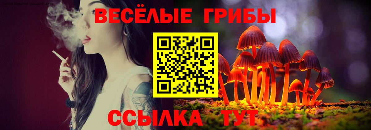 Ртищево  Галлюциногенные грибы Magic Shrooms  где купить наркоту  Вход с VPN  Галлюциногенные грибы MAGIC MUSHROOMS 